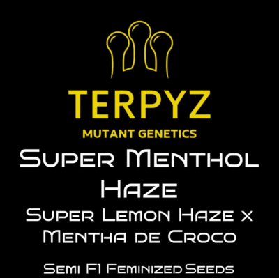 Super menthol haze terpyz mutant genetics