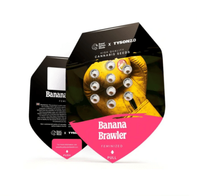 Packaging Banana Brawler Tyson 2.0 Royal Queen Seeds - Graine de collection Mike Tyson
