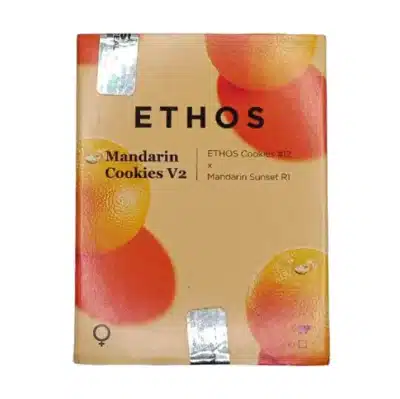 Graine de collection Mandarin Cookies V2 Ethos Genetics - Pack luxe Grainescollection.fr