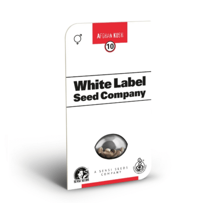 Graines Afghan Kush régulière White Label par Grainescollection.fr