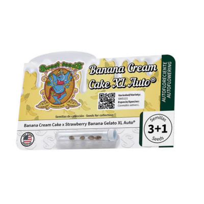 Graines Banana cream cake XL auto Sweet Seeds