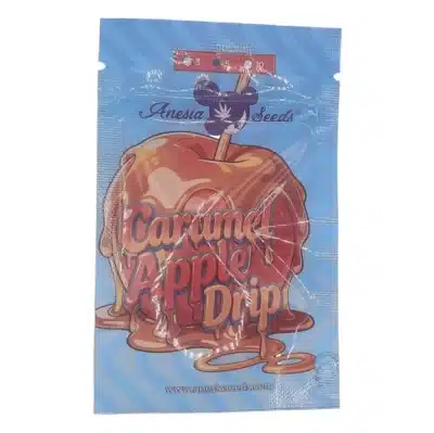 Graines de cannabis Caramel Apple Drip Anesia Seeds par grainescollection.fr