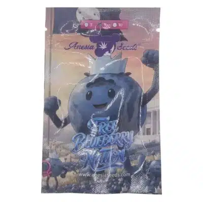 Graines de cannabis Free Blueberry Nation Anesia Seeds, indica puissante