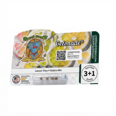Graines de cannabis Gelonade Sweet Seeds par Grainescollection.fr