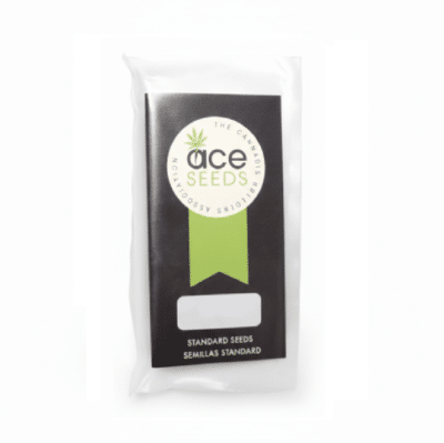 Graines régulières Magic Carrot ACE Seeds, hybride Sativa Zamal et A5 Haze.