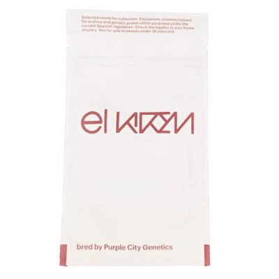 Graines de cannabis Marrakesh de Purple city Genetics par Grainescollection