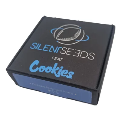 Graine Sugar Rock - Silent Seeds x Cookies par Grainescollection.fr