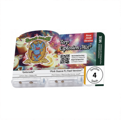 Mix de graines de cannabis Terp explosion mix Sweet seeds par Grainescollection.fr