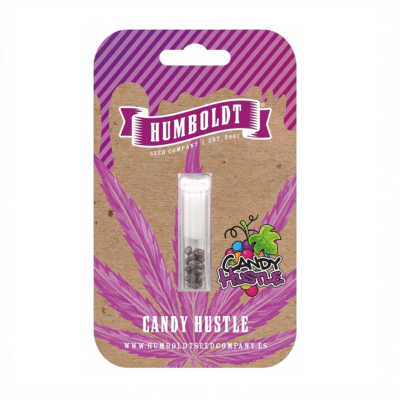 Graines Cali Candy hustle Humboldt Seed company. Terpènes diesel.