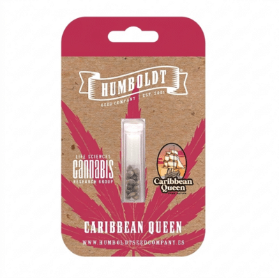 Graines de cannabis Sativa Caribbean Queen Humboldt Seed Company héritage caribéen
