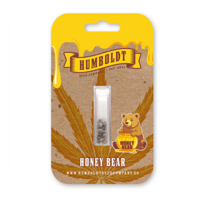 Graines cannabis US Honey Bear Humboldt seed company, par grainescollection.fr numéro un des ventes en ligne de graines