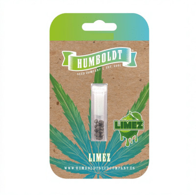 Graines de cannabis de collection Limez Humboldt Seed Co. Terpènes citron vert, buds givrés