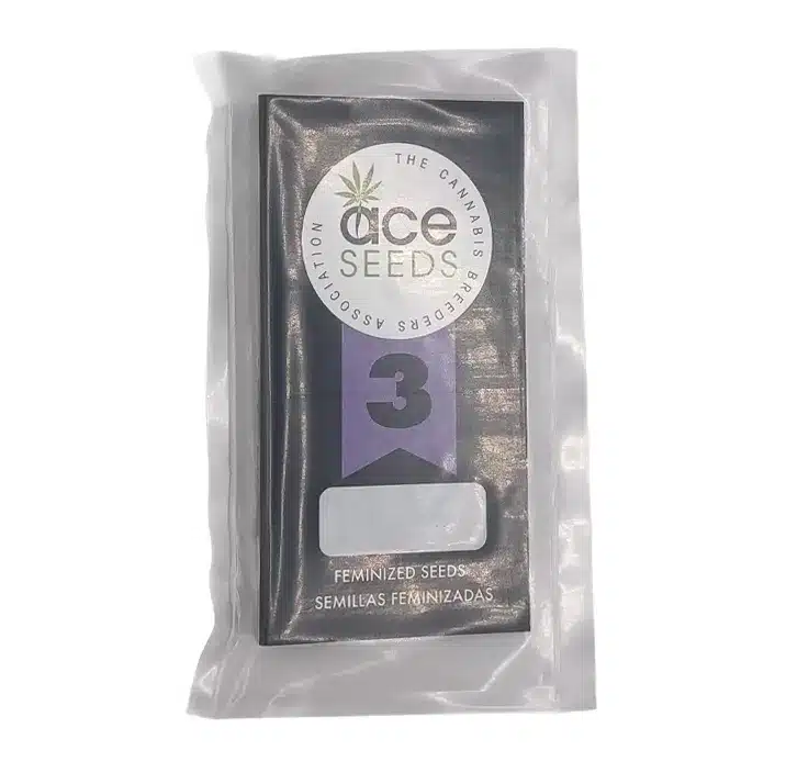 Graines de collection Panama x Bangi Haze ACE Seeds - Hybride Sativa F1 stable.