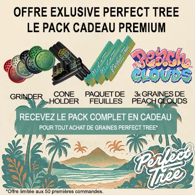 Cadeaux exclusifs Perfect Tree Seeds sur Grainescollection.fr