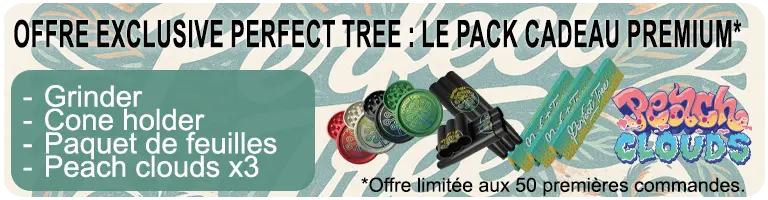Perfect Tree seeds promo exclusive sur Grainescollection.fr