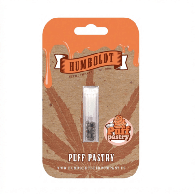 Graines de cannabis Puff Pastry Humboldt seed company, terpènes sucrés
