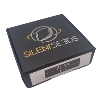 Graines de cannabis 2026 Silent seeds B-52