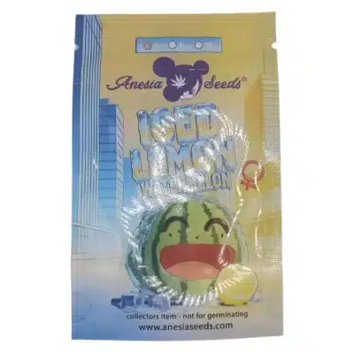 iced lemon watermelon Anesia Seeds graines de cannabis citronnées par grainescollection.fr