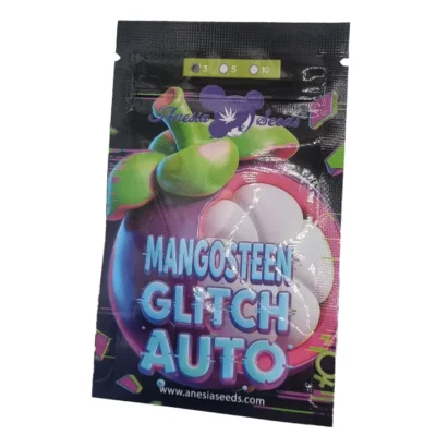 Graines de cannabis automatique 30% de THC Mangosteen Glitch auto Anesia Seeds