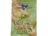Pistachio Churro auto Anesia Seeds Pistachio Churro auto Anesia Seeds