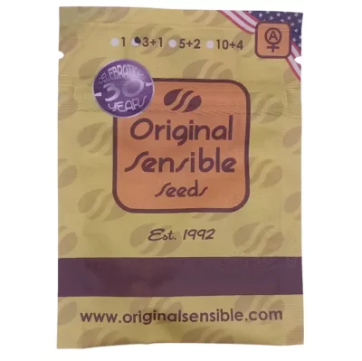 Graines de cannabis puissantes et fruitées Auto orange gorilla XL Original sensible seeds