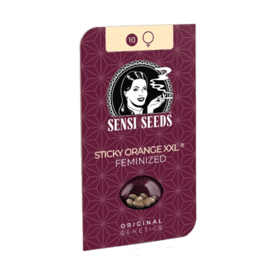 Graines de Sticky orange xxl Sensi Seeds par Grainescollection.fr