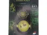 Banana Punch Vision Seeds Banana Punch Vision Seeds