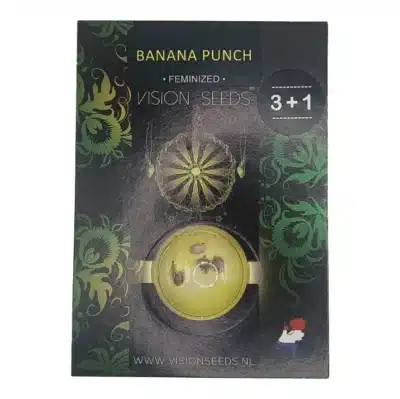 Graines de cannabis Banana Punch vision seeds