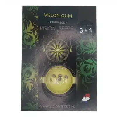 Graines de cannabis Melon gum vision seeds par Grainescollection