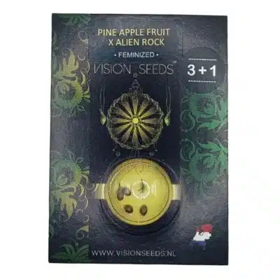 Graines de cannabis pineapple fruit x alien rock Vision Seeds en exclu en France