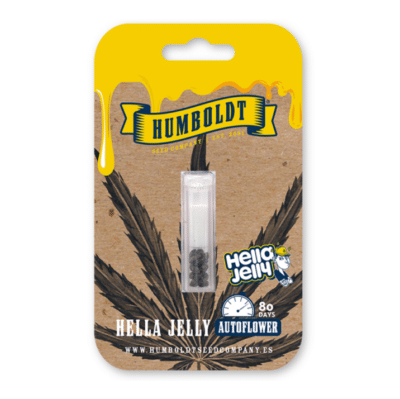 Hella Jelly auto HSC Graines de cannabis rares par Grainescollection.fr