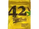 Garlic Mint Sherbet Fastbuds Garlic Mint Sherbet Fastbuds