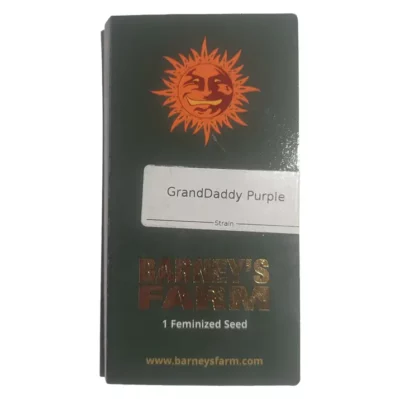 Graine de cannabis GrandDaddy Purple Barney's Farm - Variété Féminisée Purple Urkle x Big Bud.