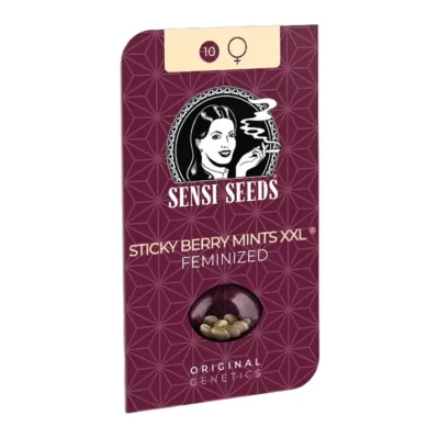 Sticky berry mints xxl Sensi Seeds