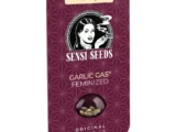 Garlic Gas Sensi Seeds Garlic Gas Sensi Seeds