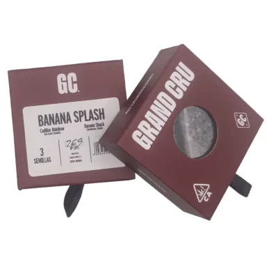 Graines de cannabis en exclu en France Banana Splash Grand Cru Genetics