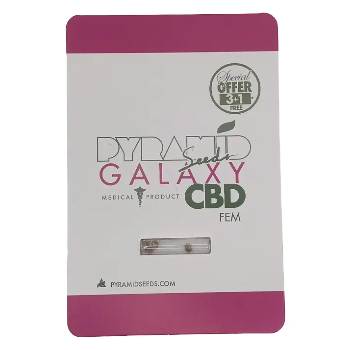 Graine de cannabis féminisée Galaxy CBD Pyramid Seeds - Croisement Afghani x Northern Lights.