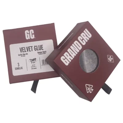 Graines de cannabis exceptionnelles Velvet Glue Grand Cru Genetics par Grainescollection.fr
