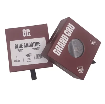 Graines de cannabis de grande qualité blue smoothie Grand Cru