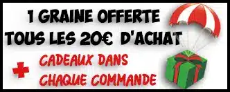 graines collection france