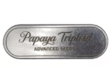 Papaya Triploïd Advanced Seeds Papaya Triploïd Advanced Seeds