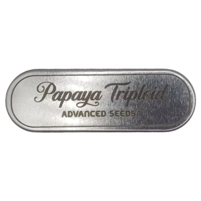 papaya triploid advanced seeds