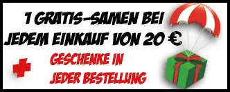 Saatgutsammlung Frankreich