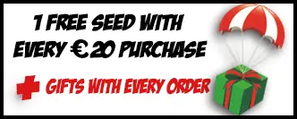 seeds collection france