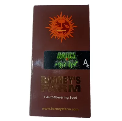 Graine de cannabis auto sativa Barney's Farm Bruce banner