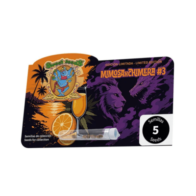 Mimosa x Chimera #3 de Sweet Seeds - Graines de cannabis en édition limitée sur Grainescollection.fr