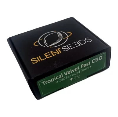 Graines CBD moins de 1% de THC Tropical Velvet fast CBD Silent Seeds