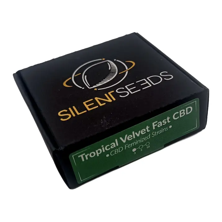 Graines CBD moins de 1% de THC Tropical Velvet fast CBD Silent Seeds