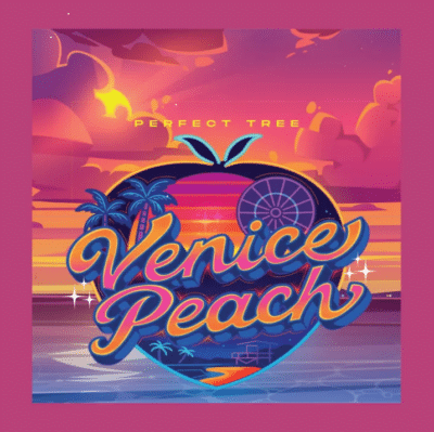 Graine de cannabis féminisée Venice Peach Perfect Tree Seeds - Génétique L.A. Kush Cake x Peach Ozz pour extraction.