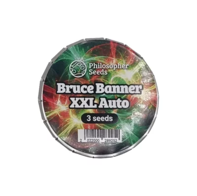 Graine auto-fleurissante Bruce Banner XXL Auto de Philosopher Seeds - Lignée Bruce Banner x Gorilla Auto sativa.